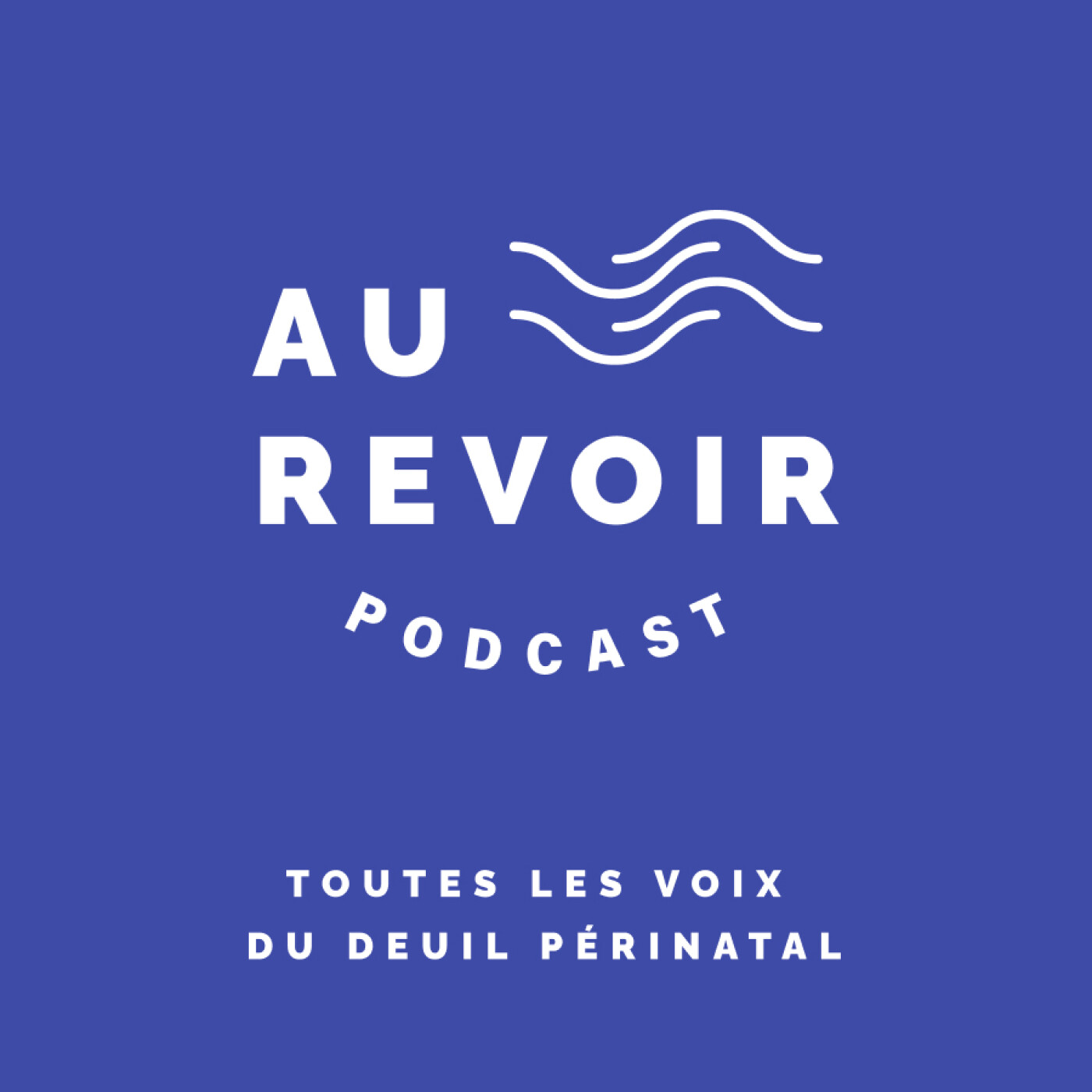 vignette du podcast : Au Revoir Podcast