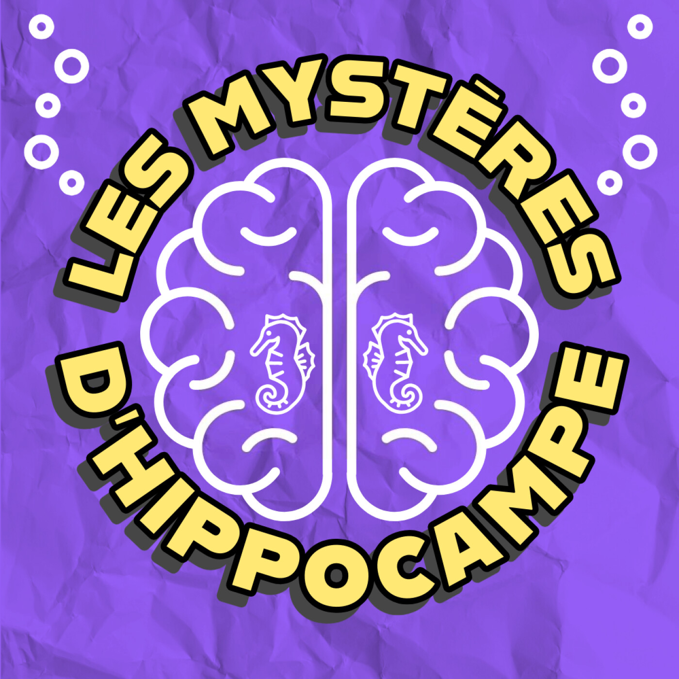 vignette du podcast : Les Mystères d&rsquo;Hippocampe