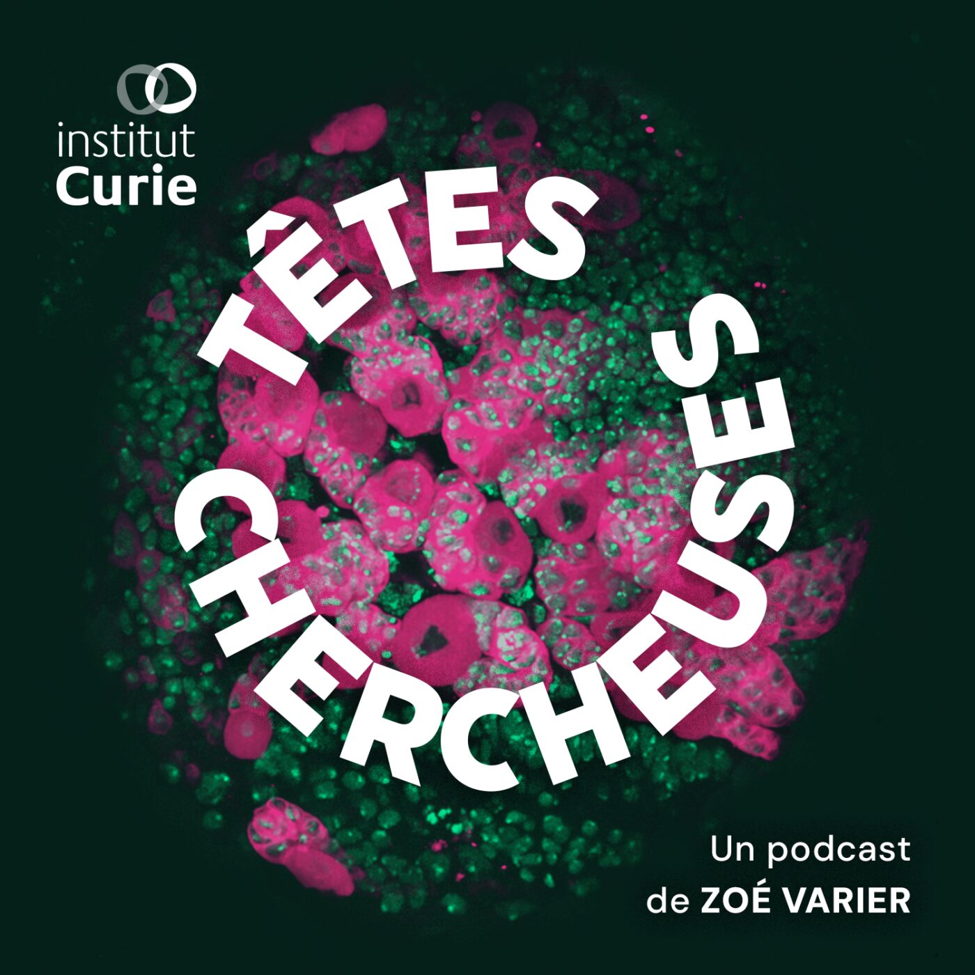 vignette du podcast : Têtes chercheuses