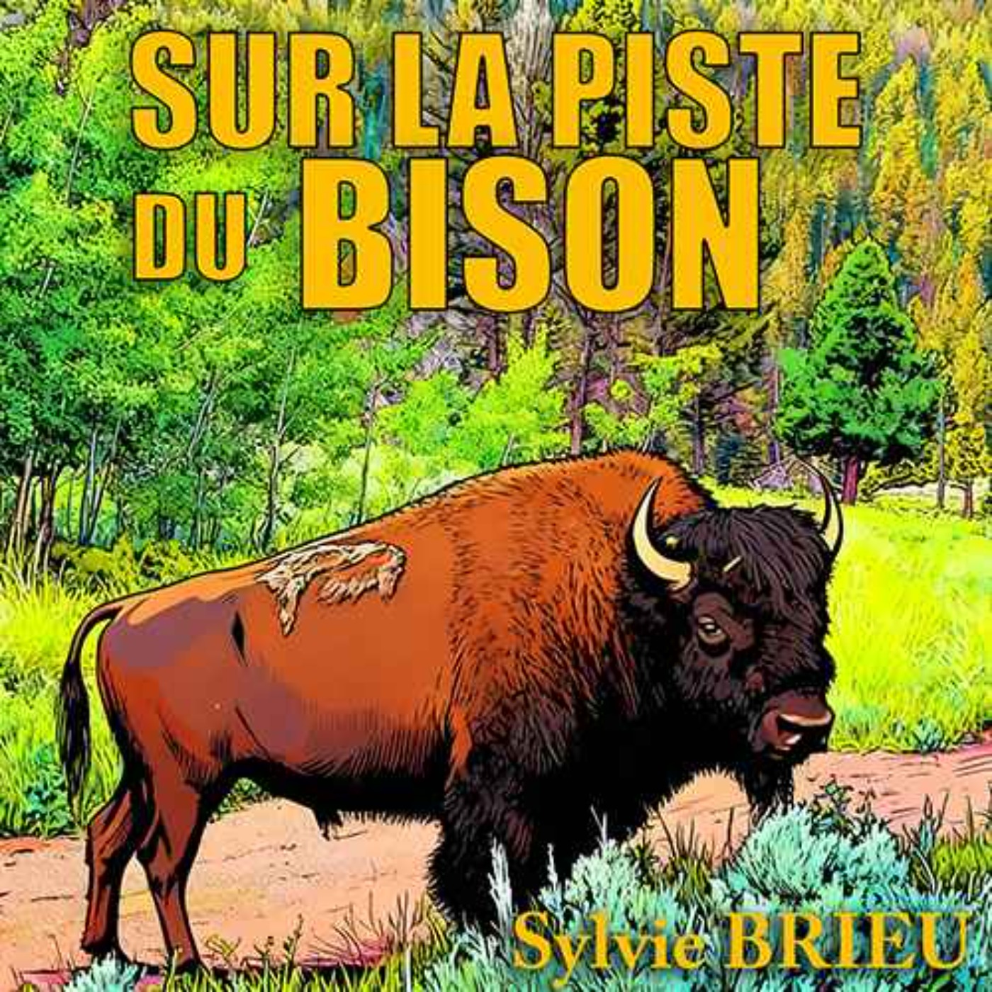 vignette du podcast : Sur la Piste du BISON