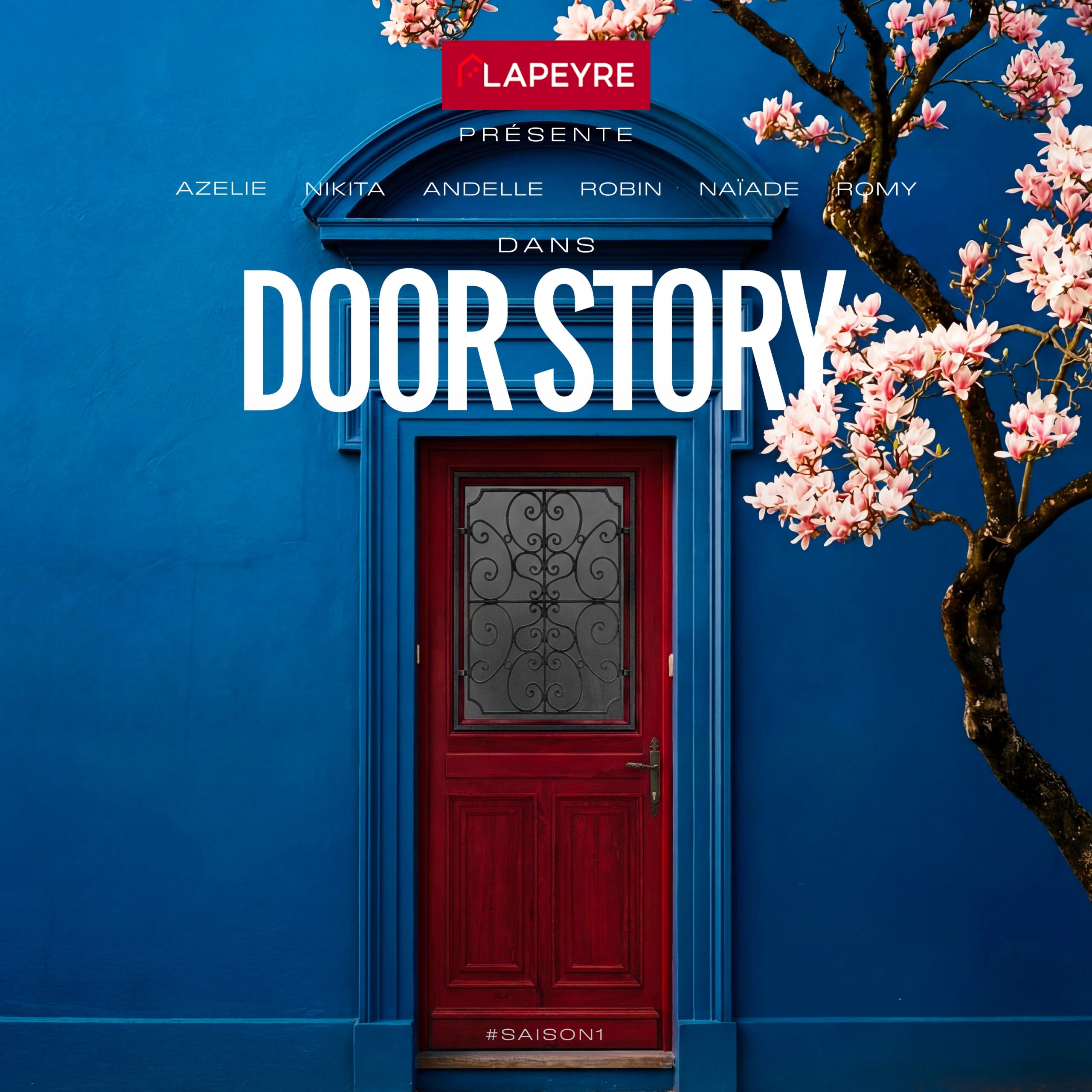 vignette du podcast : Door Story