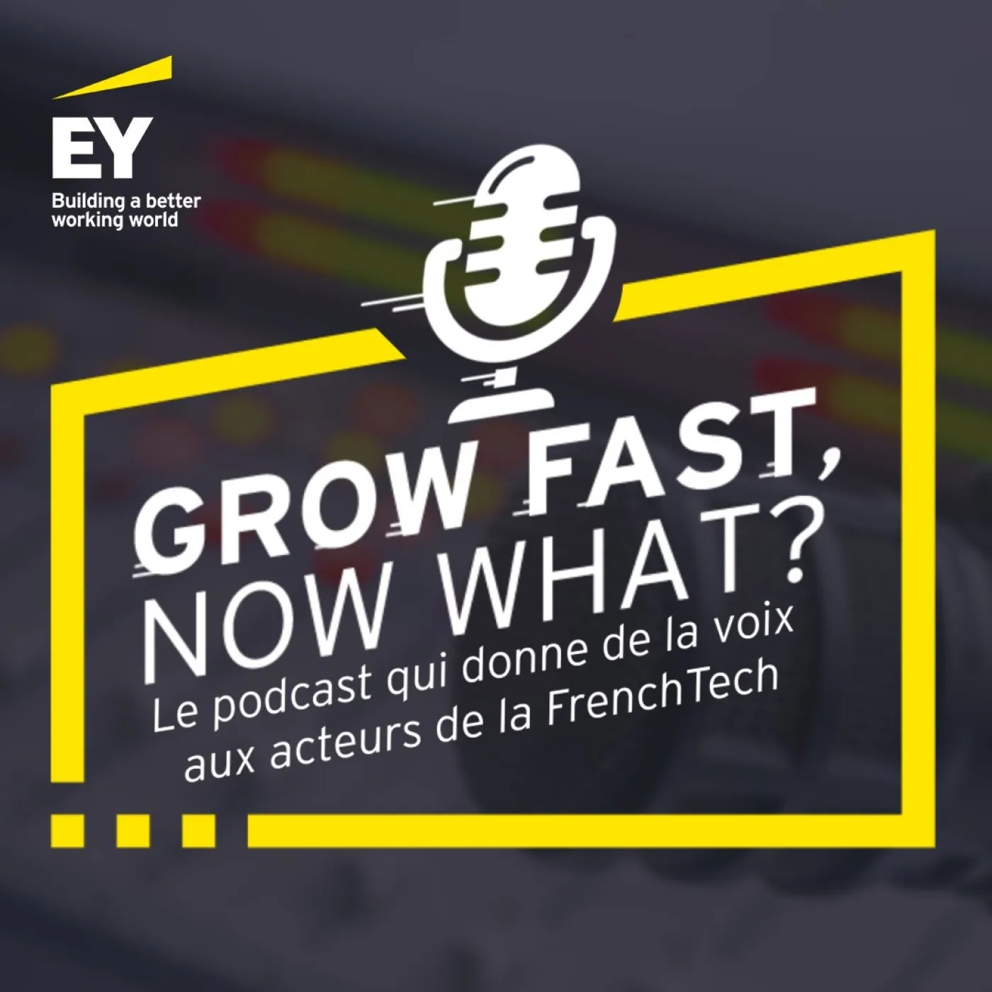 vignette du podcast : Grow Fast, Now What?